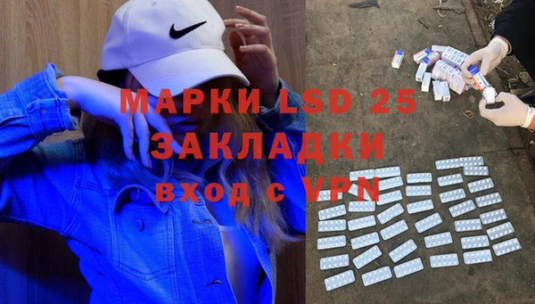 гашик Верея