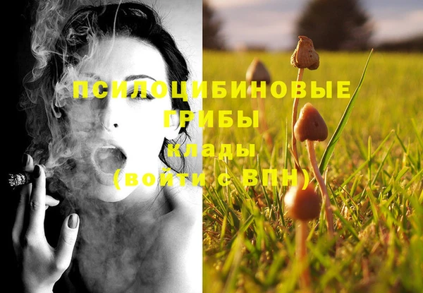 гашик Верея