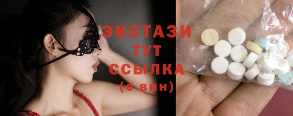 гашик Верея