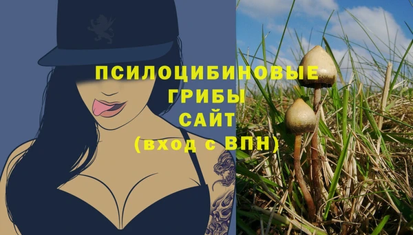 гашик Верея