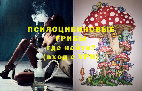 ECSTASY Сосновоборск
