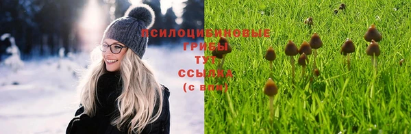 соль ск Верхний Тагил